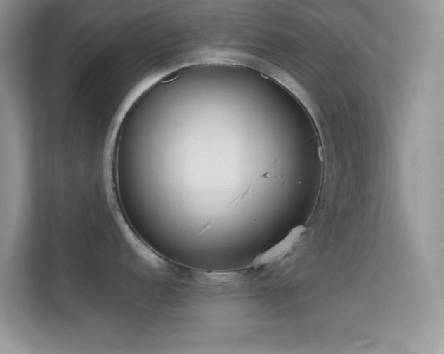 X0000113561152200909251053