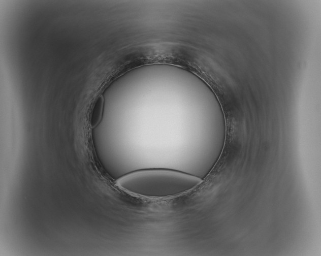 X0000113561153200909251052