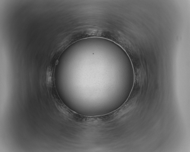 X0000113561154200909251052