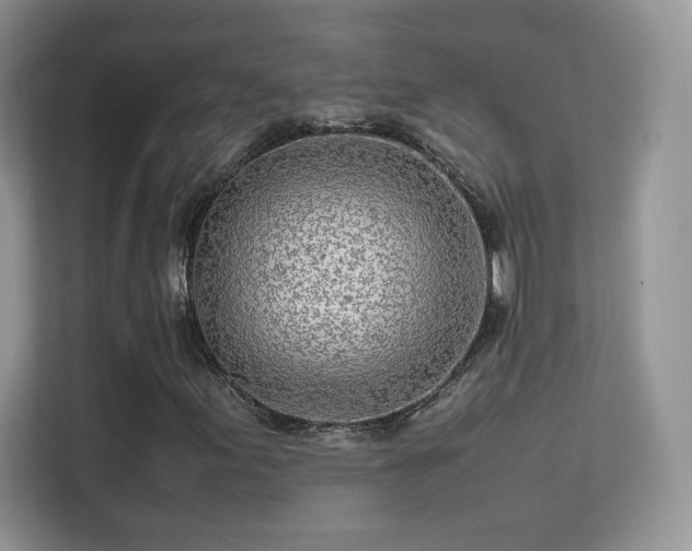 X0000113561155200909251052
