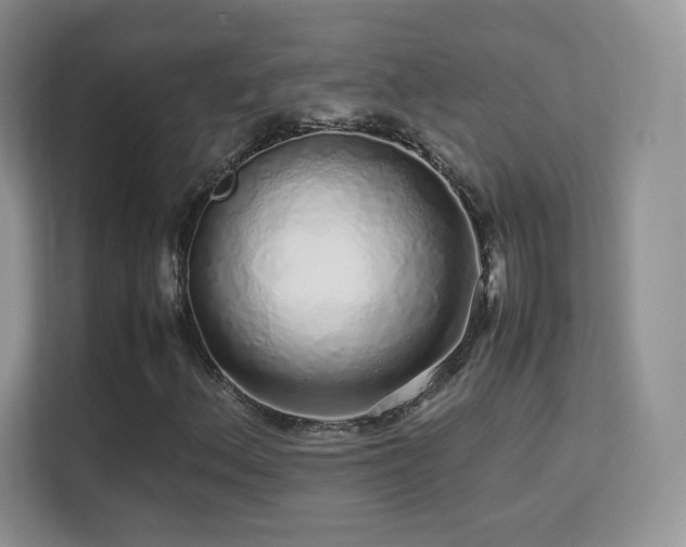 X0000113561156200909251052
