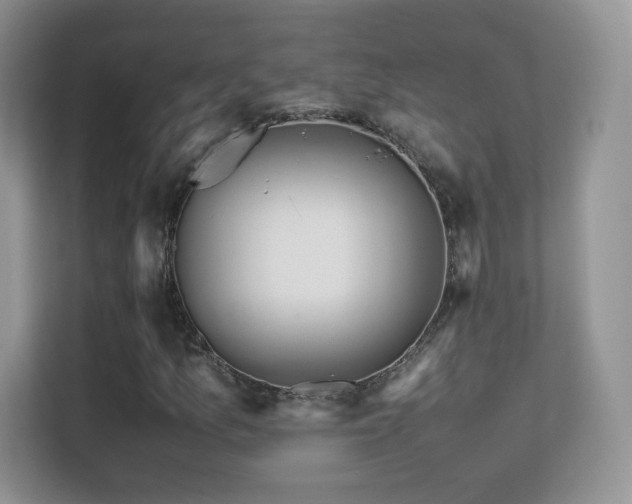 X0000113561157200909251052