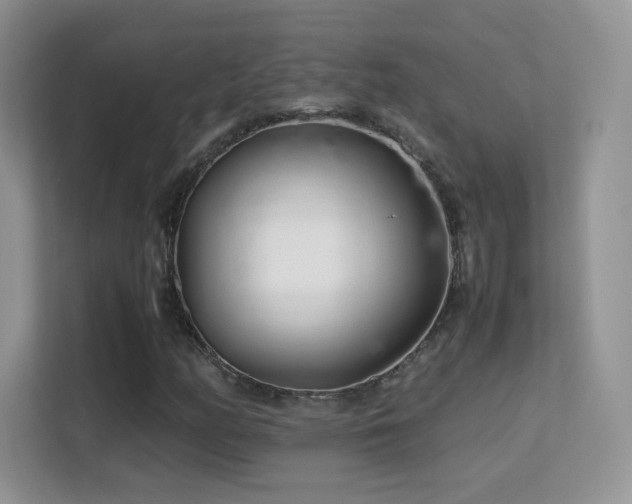 X0000113561158200909251052