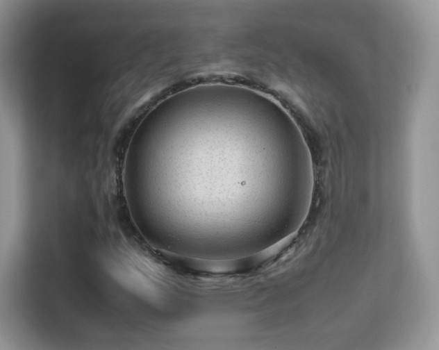X0000113561159200909251052