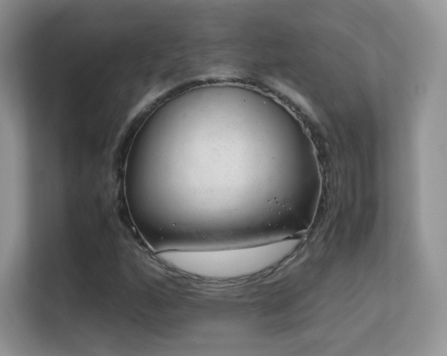 X0000113561160200909251052