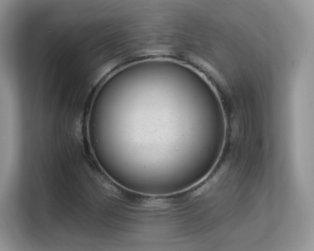 X0000113561162200909251052
