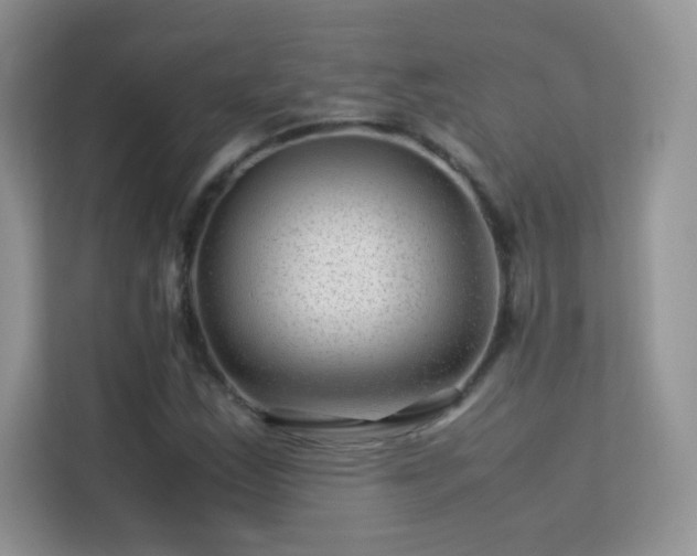 X0000113561163200909251052