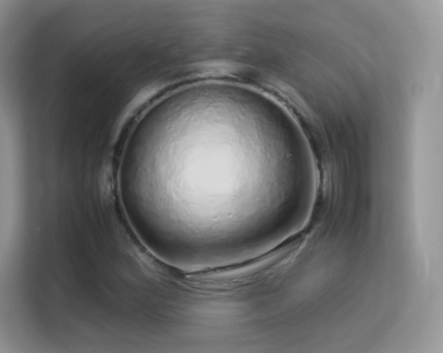 X0000113561164200909251052