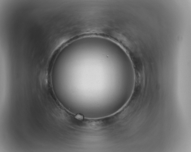 X0000113561165200909251052