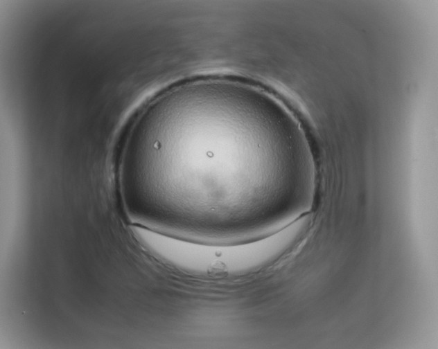 X0000113561167200909251052