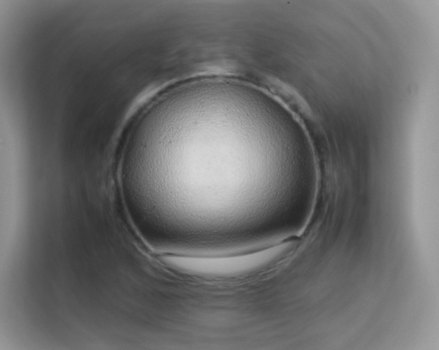 X0000113561168200909251052