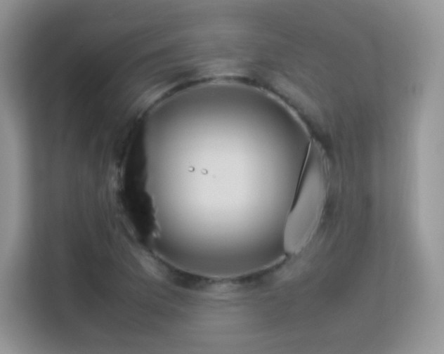 X0000113561169200909251052