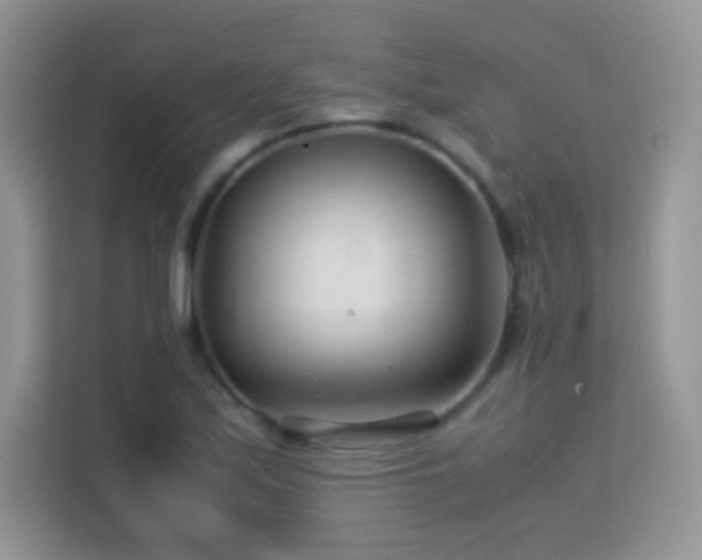 X0000113561171200909251052