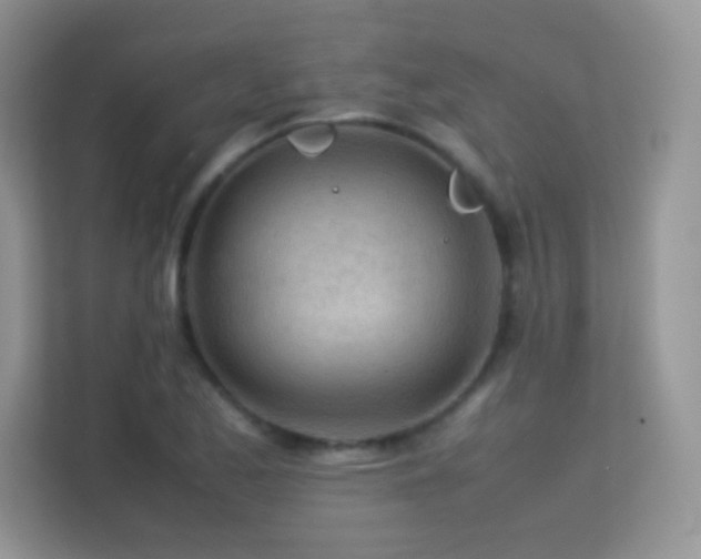 X0000113561173200909251052