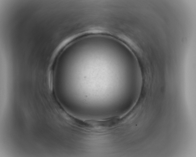 X0000113561175200909251052
