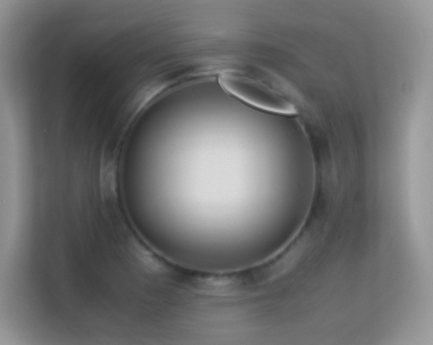 X0000113561177200909251052