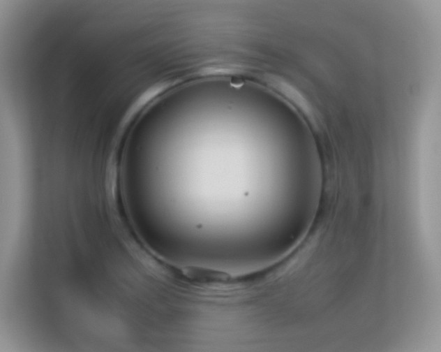 X0000113561179200909251052