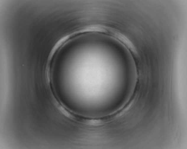 X0000113561180200909251052