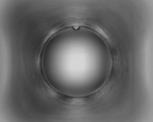 X0000113561181200909251052