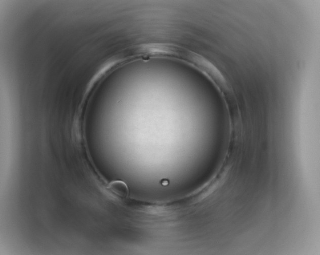 X0000113561182200909251052