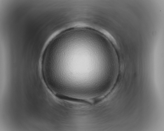 X0000113561183200909251052