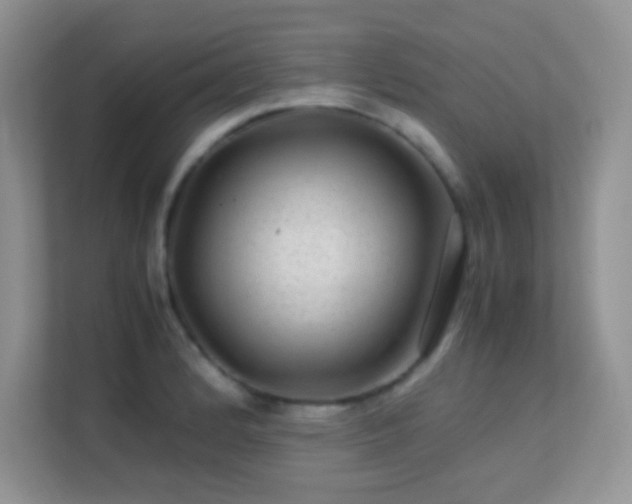 X0000113561184200909251052