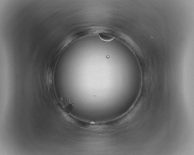 X0000113561185200909251052