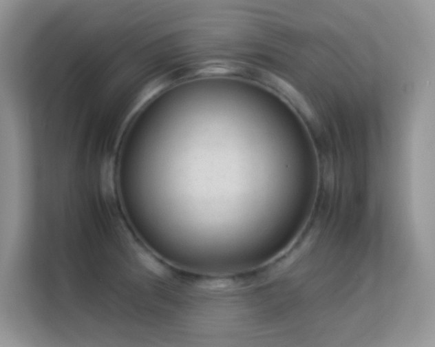 X0000113561186200909251052