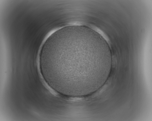 X0000113561187200909251052