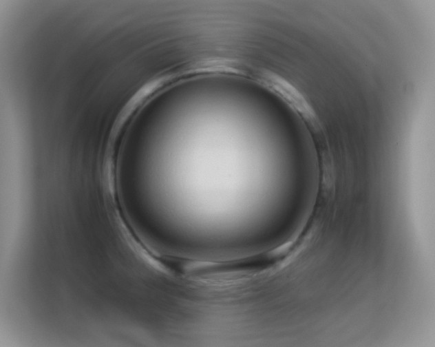 X0000113561188200909251052