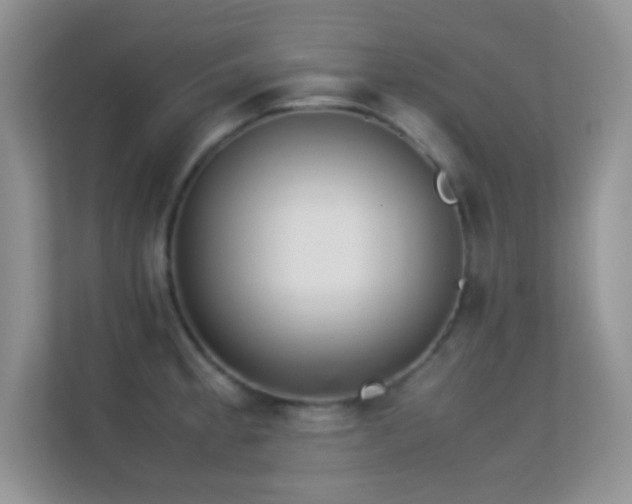 X0000113561189200909251052