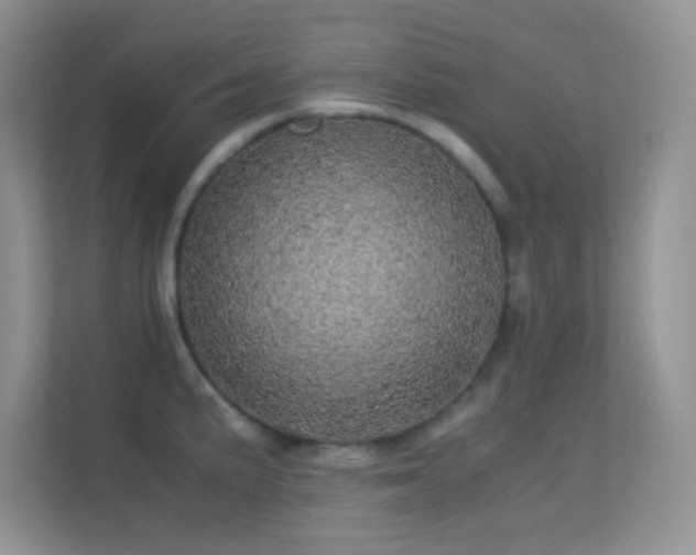 X0000113561191200909251052