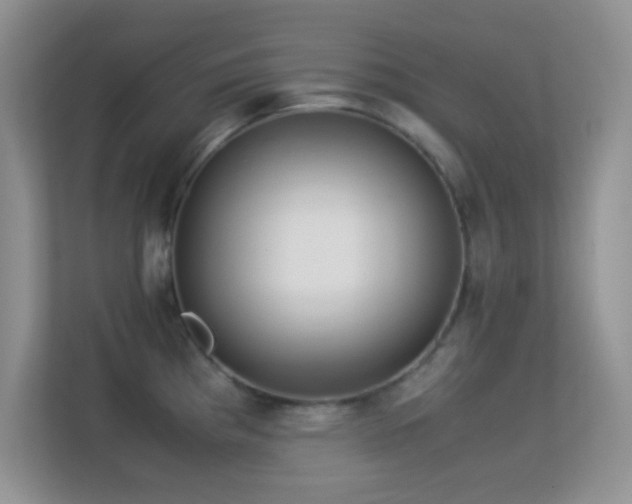 X0000113561193200909251052