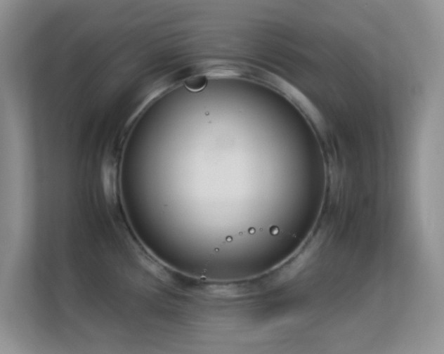X0000113561194200909251052