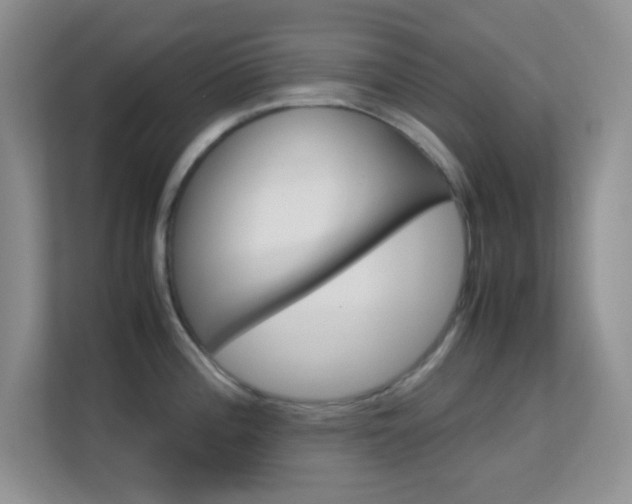 X0000113561196200909251052