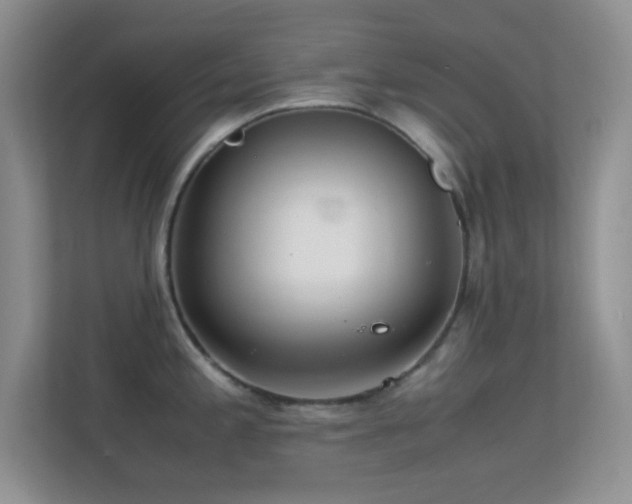 X0000113561197200909251052
