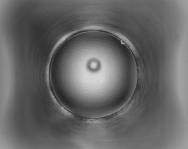 X0000113561199200909251052