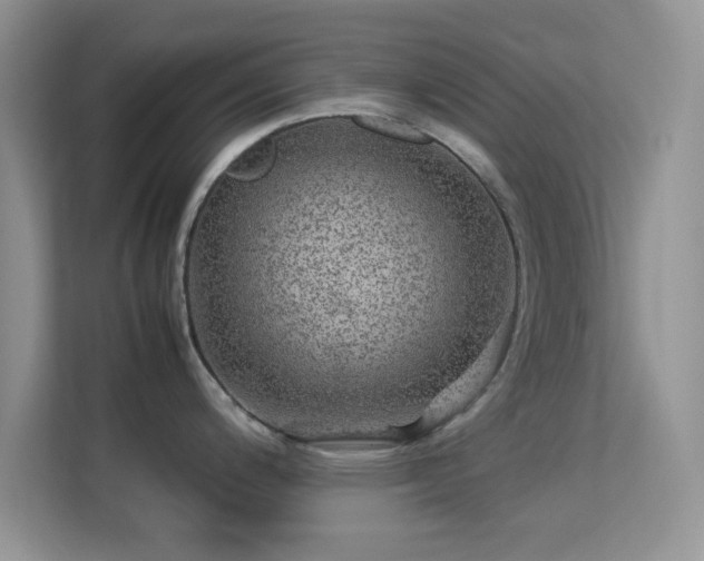 X0000113561200200909251052