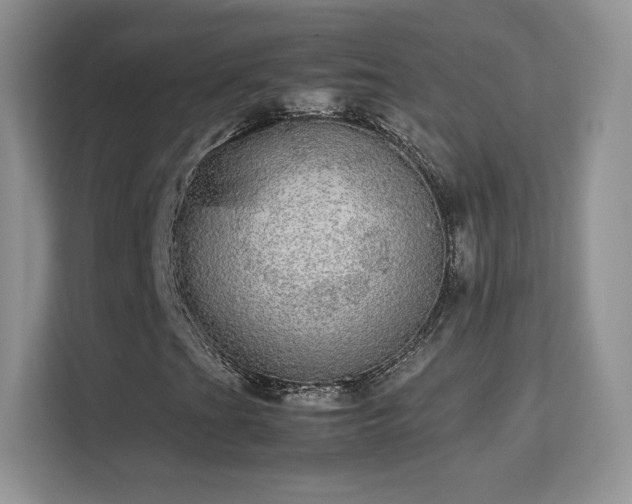 X0000113561201200909251051