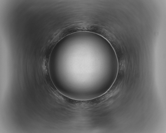 X0000113561202200909251051