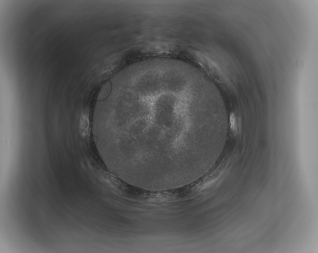 X0000113561203200909251051