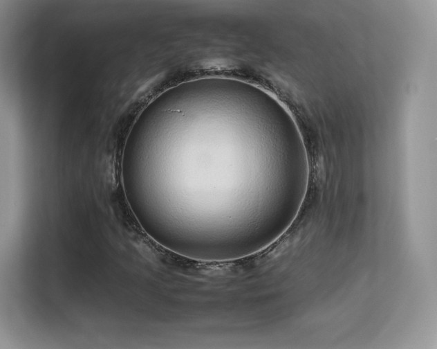 X0000113561205200909251051
