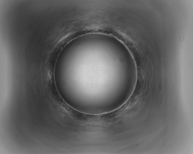 X0000113561206200909251051
