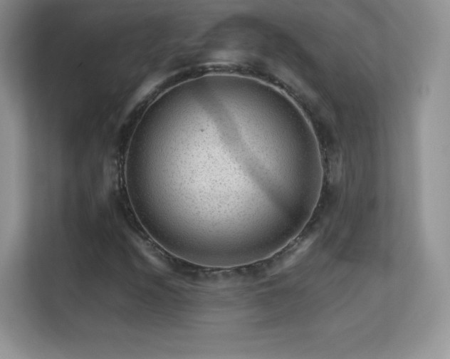 X0000113561208200909251051