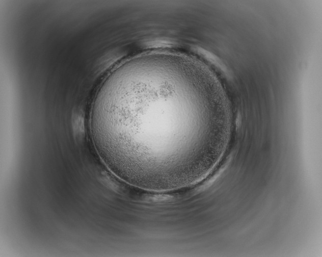 X0000113561209200909251051
