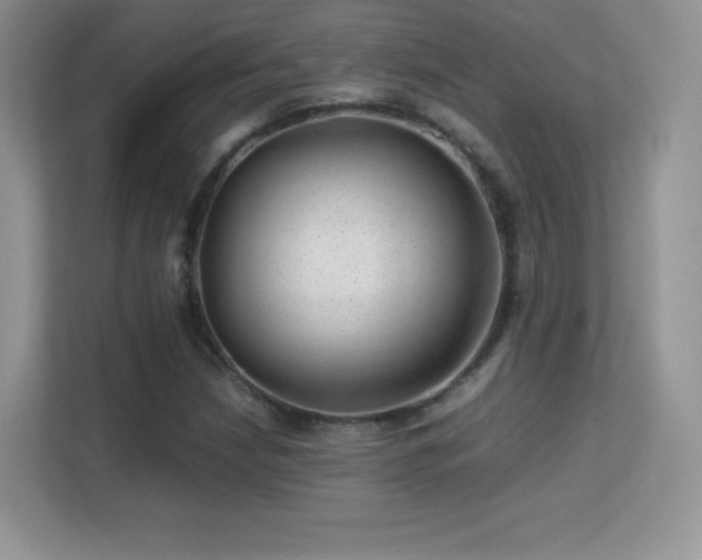 X0000113561210200909251051