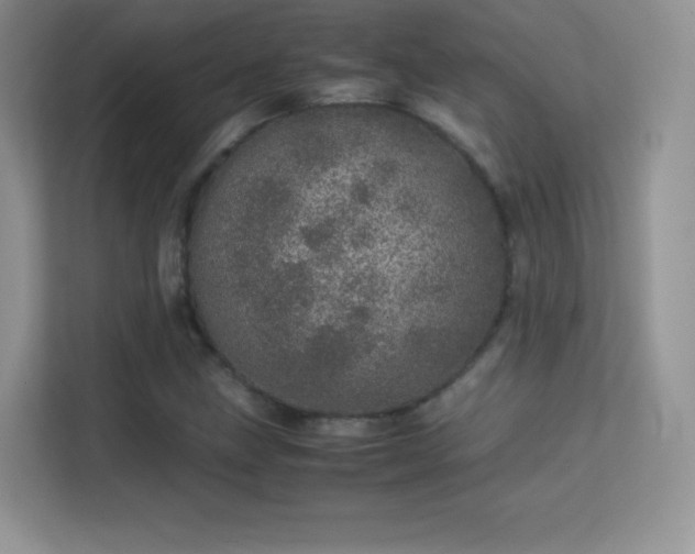 X0000113561211200909251051