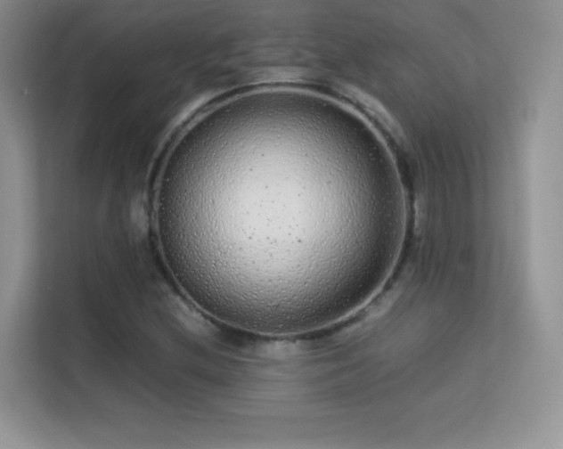 X0000113561212200909251051