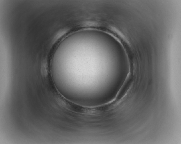 X0000113561213200909251051