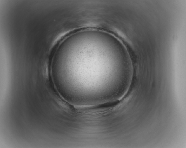 X0000113561214200909251051